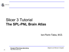 Slicer 3 Tutorial the SPL-PNL Brain Atlas