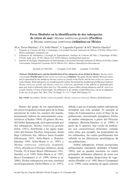 Poros Filodiales En La Identificación De Dos Subespecies De Erizos De Mar: Meoma Ventricosa Grandis (Pacífico) Y Meoma Ventricosa Ventricosa (Atlántico) En México