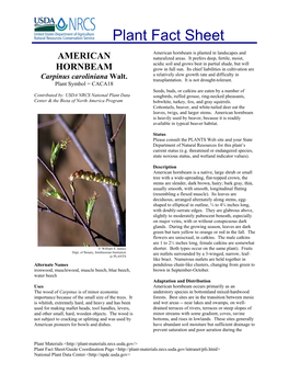 American Hornbeam Is Planted in Landscapes and AMERICAN Naturalized Areas