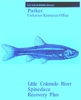 Parker Little Colorado River Spinedace Recovery Plan