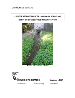 COMMUNE DE BUFFARD EAUX CONTINENTALES Novembre 2017