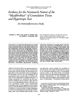 Evidence for the Nonmuscle Nature of The" Myofibroblast" of Granulation Tissue and Hypertropic Scar. an Immunofluorescence Study