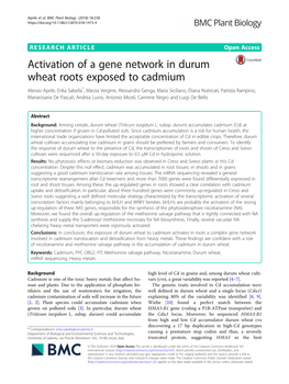 Activation of a Gene Network in Durum Wheat Roots Exposed to Cadmium