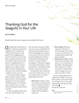 Thanking God for the Seagulls in Your Life