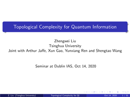 Topological Complexity for Quantum Information