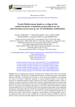 French Mediterranean Islands As a Refuge of Relic Earthworm Species: Cataladrilus Porquerollensis Sp