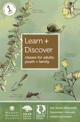 Learn + Discover Maidenhair Tree Classes for Adults, Ginkgo Biloba Youth + Family
