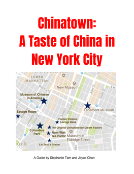 Chinatown: a Taste of China in New York City