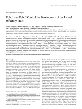 Robo1 and Robo2 Control the Development of the Lateral Olfactory Tract