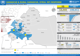 Damascus & Rural Damascus, Syria: Nfi Response