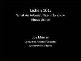 Lichen 101: What an Arborist Needs to Know About Lichen