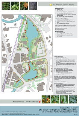 Invasive Plant Inventory 21St Century Planting Design and Management