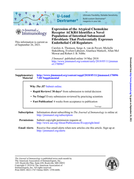 Expression of the Atypical Chemokine Receptor ACKR4 Identifies a Novel