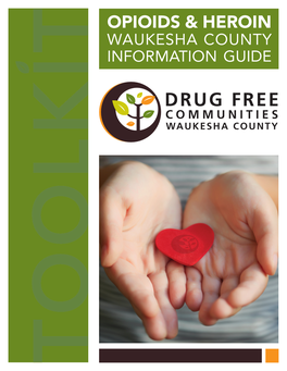 Waukesha County Opioid Guide