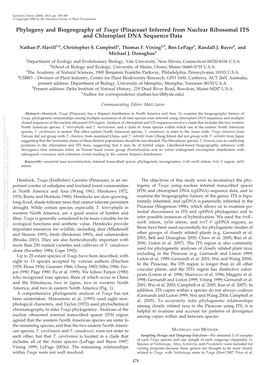 Phylogeny and Biogeography of Tsuga (Pinaceae)