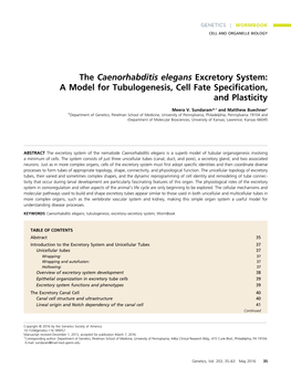 The Caenorhabditis Elegans Excretory System: a Model for Tubulogenesis, Cell Fate Speciﬁcation, and Plasticity