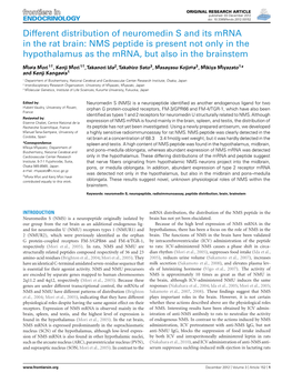 Different Distribution of Neuromedin S and Its Mrna in the Rat Brain: NMS Peptide Is Present Not Only in the Hypothalamus As the Mrna, but Also in the Brainstem