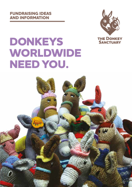DONKEYS WORLDWIDE NEED YOU. Thank You for Your Donkeys at Heart Interest in the Donkey Sanctuary