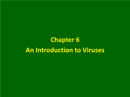 Chapter 6 an Introduction to Viruses Introduction All Life-Forms Can Be Infected by Viruses