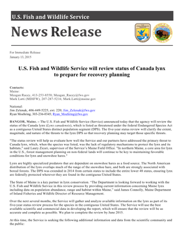 U.S. Fish and Wildlife Service Will Review Status of Canada Lynx to Prepare for Recovery Planning