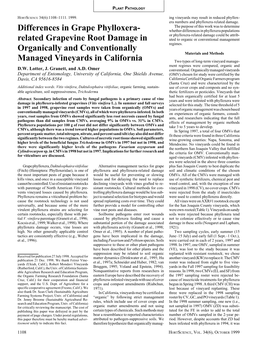 Differences in Grape Phylloxera-Related Grapevine Root