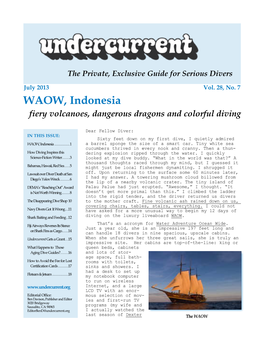 Undercurrent, July 2013