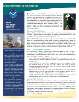 Seabird Protection & Avoidance Tips