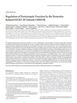 Related ESCRT-III Subunit CHMP2B