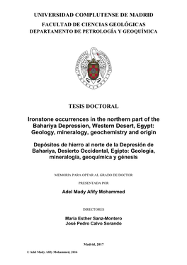 Ironstone Occurrences in the Northern Part of the Bahariya Depression, Western Desert, Egypt: Geology, Mineralogy, Geochemistry and Origin