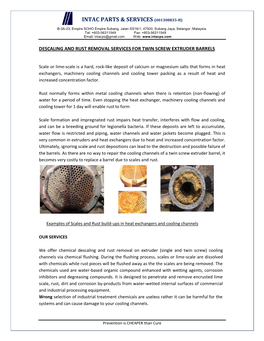 Twin-Screw-Extruder-Barrel-Descaling