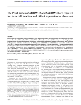 The PIWI Proteins SMEDWI-2 and SMEDWI-3 Are Required for Stem Cell Function and Pirna Expression in Planarians