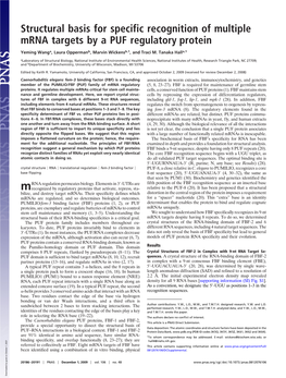 Structural Basis for Specific Recognition of Multiple Mrna Targets by a PUF Regulatory Protein