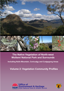 Native Vegetation of North-West Wollemi National Park and Surrounds