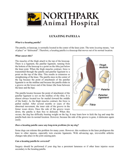 Luxating Patella