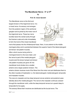 The Mandibular Nerve - Vc Or VIII by Prof