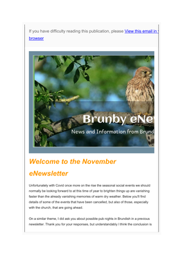 The November Enewsletter