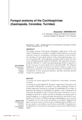 Foregut Anatomy of the Cochlespirinae (Gastropoda, Conoidea, Turridae)