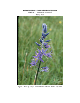 Plant Propagation Protocol for ​Camassia Quamash ESRM 412