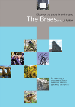 Braes Area Path Network