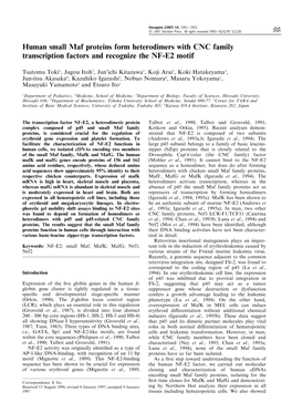 Human Small Maf Proteins Form Heterodimers with CNC Family Transcription Factors and Recognize the NF-E2 Motif