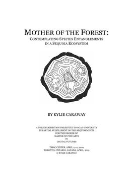 Mother of the Forest: Contemplating Species Entanglements in a Sequoia Ecosystem