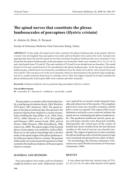 The Spinal Nerves That Constitute the Plexus Lumbosacrales of Porcupines (Hystrix Cristata)