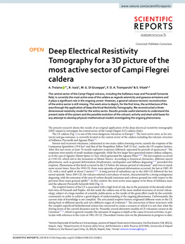 Deep Electrical Resistivity Tomography for a 3D Picture of the Most Active Sector of Campi Flegrei Caldera A