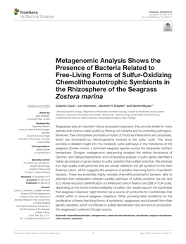 Metagenomic Analysis Shows the Presence of Bacteria Related To