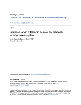 Expression Pattern of CD2AP in the Intact and Collaterally Sprouting Nervous System