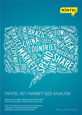 Mintel Key Market Size Analysis