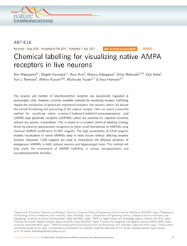 Chemical Labelling for Visualizing Native AMPA Receptors in Live Neurons