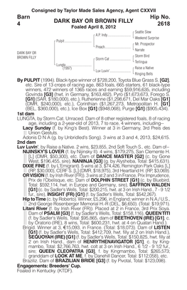 DARK BAY OR BROWN FILLY Barn 4 Hip No. 2618