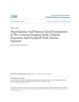 Hypothalamus and Pituitary Gland Development in the Common Snapping Turtle, Chelydra Serpentina, and Disruption with Atrazine Exposure