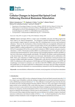 Cellular Changes in Injured Rat Spinal Cord Following Electrical Brainstem Stimulation